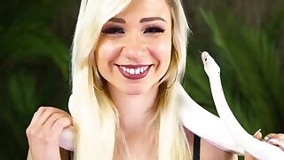 Wolf Wagner's Dirty Jungle Party 3: un vivace trio finale