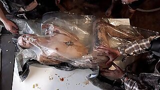 PERVERSE FAMILY - Vacuum Bed Insultation